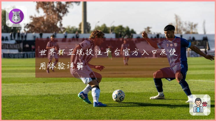 世界杯正规投注平台官方入口及使用体验详解