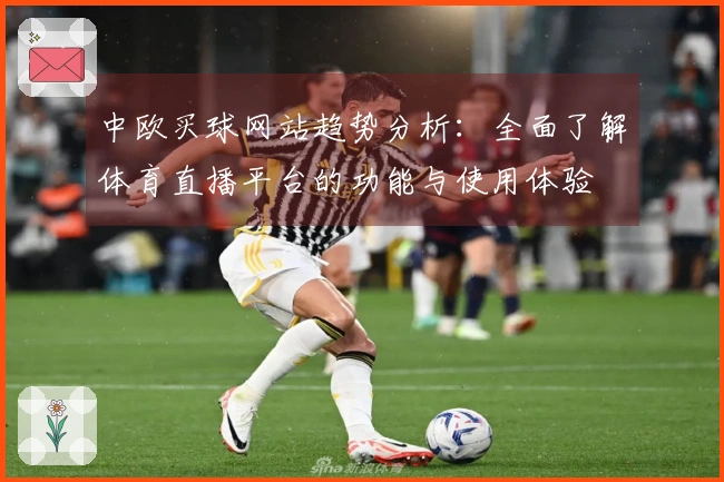 中欧买球网站趋势分析：全面了解体育直播平台的功能与使用体验