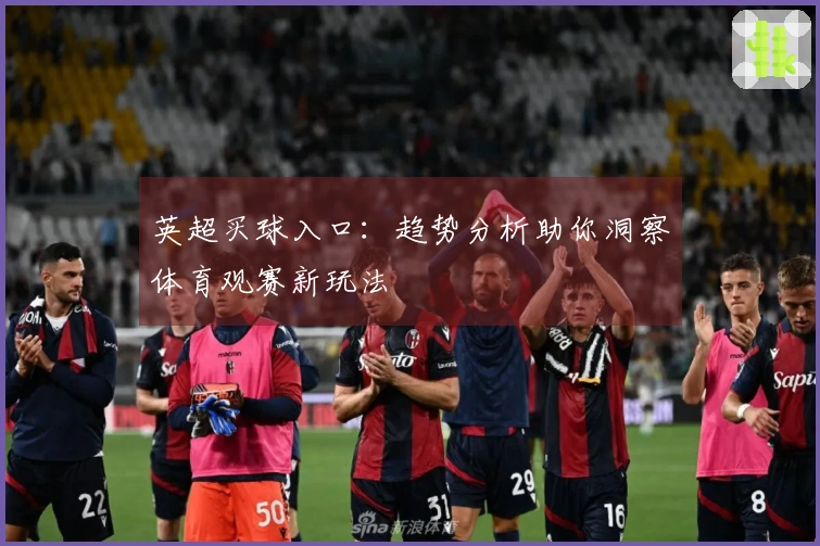 英超买球入口：趋势分析助你洞察体育观赛新玩法
