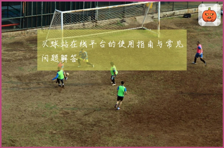 买球站在线平台的使用指南与常见问题解答