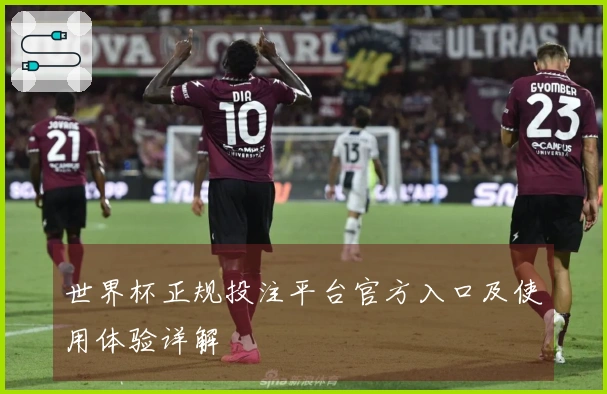 世界杯正规投注平台官方入口及使用体验详解