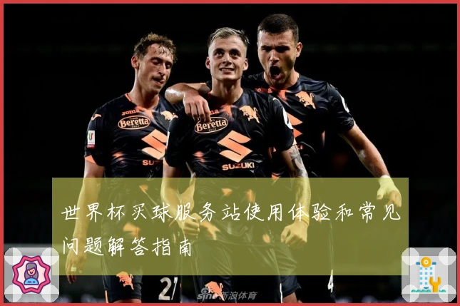 世界杯买球服务站使用体验和常见问题解答指南