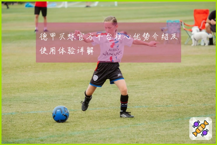 德甲买球官方平台核心优势介绍及使用体验详解