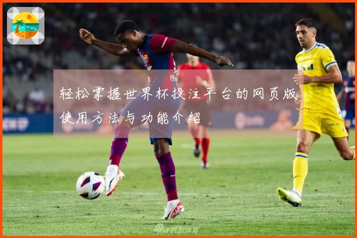 轻松掌握世界杯投注平台的网页版使用方法与功能介绍