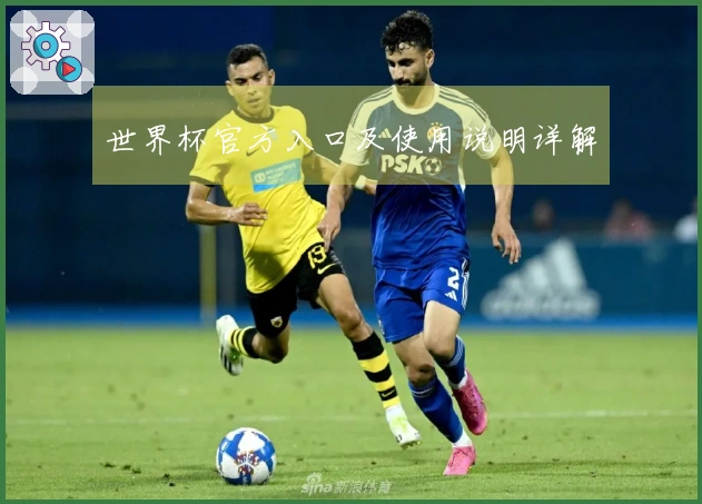 世界杯官方入口及使用说明详解