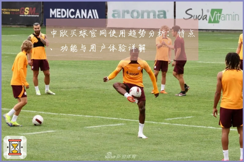 中欧买球官网使用趋势分析：特点、功能与用户体验详解