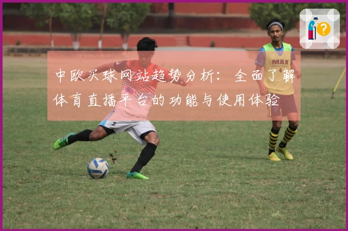 中欧买球网站趋势分析:全面了解体育直播平台的功能与使用体验