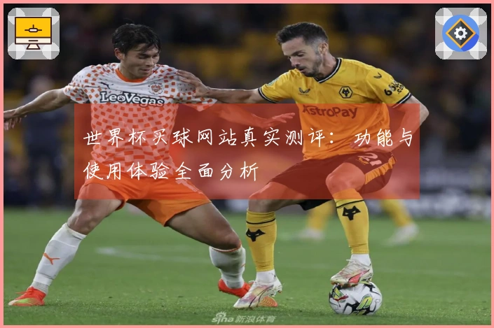 世界杯买球网站真实测评：功能与使用体验全面分析